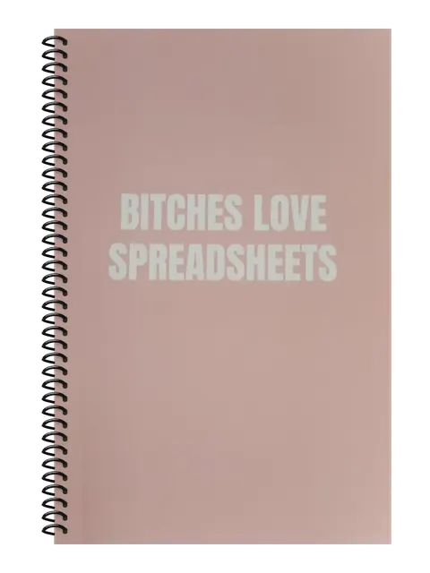 Bitches Love Spreadsheets funny spiral notebook in light pink (HR Pink) – 5.5 x 8.5 inch college ruled office notebook by Office Snarky