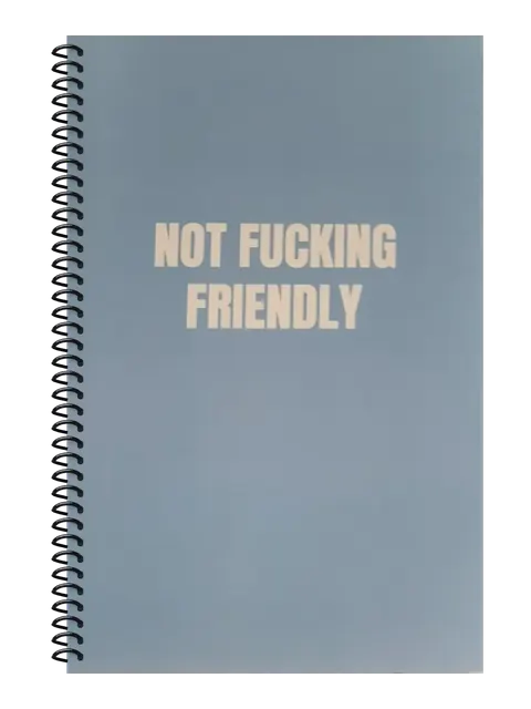 Not Fucking Friendly funny spiral notebook in light blue (Reply-All Blue) – 5.5 x 8.5 inch college ruled office notebook by Office Snarky
